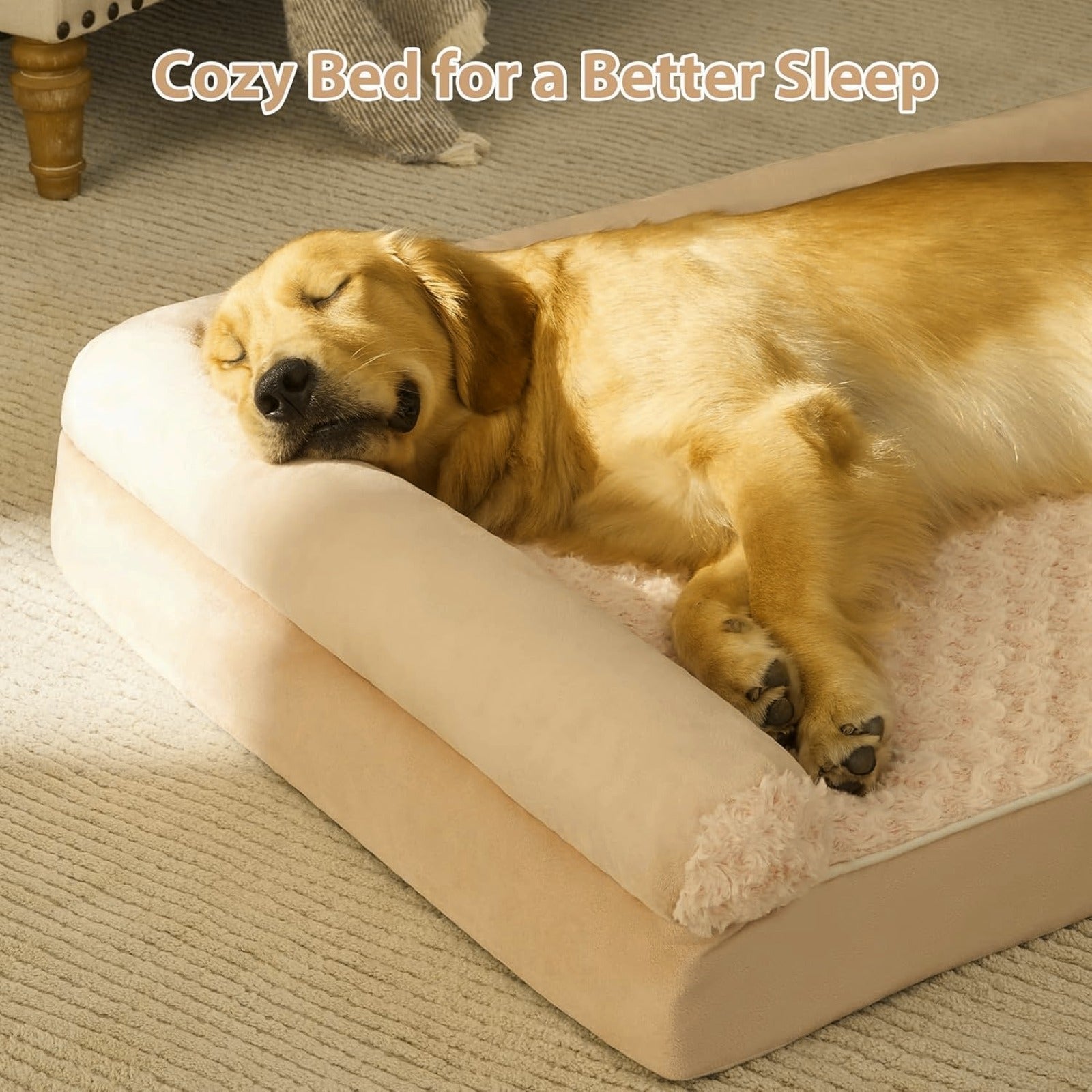 Dog Mattress