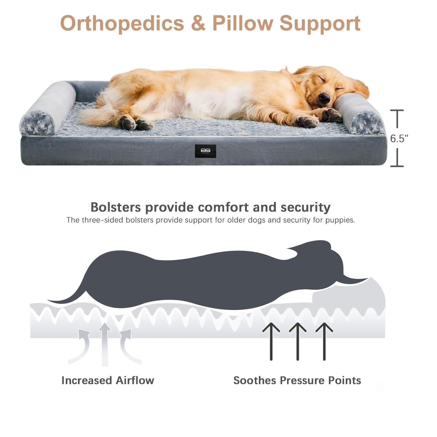 Pawfect Snoozer