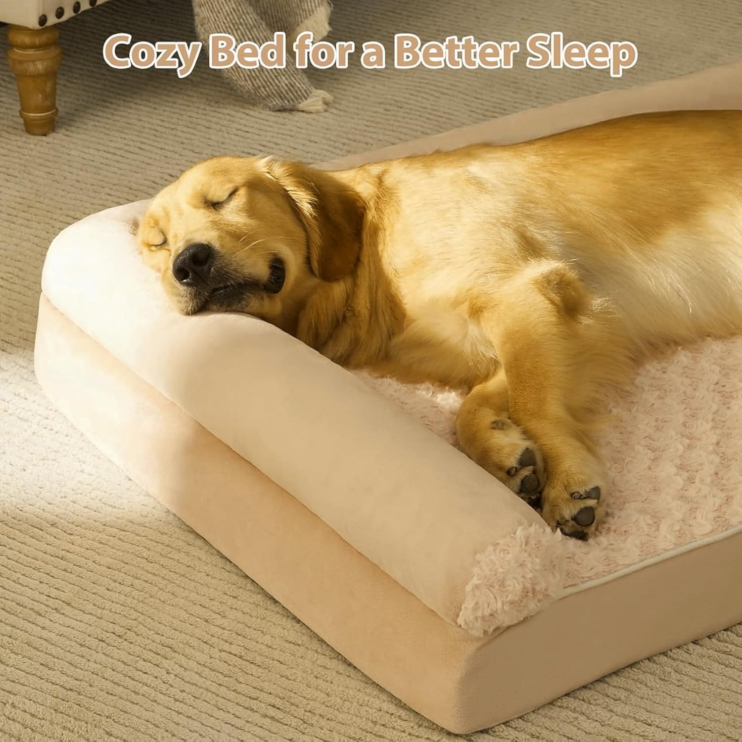 Pawfect Snoozer